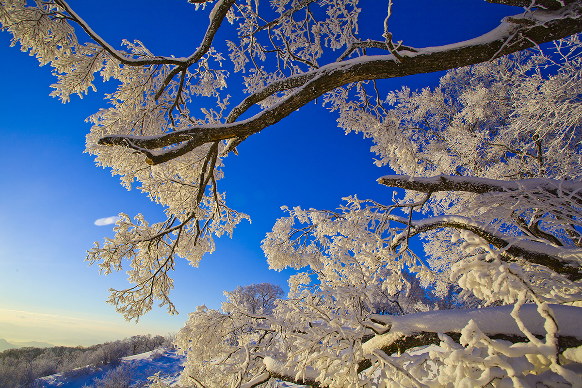 东北地区海拔最高的几座山峰,东北十大最高的山