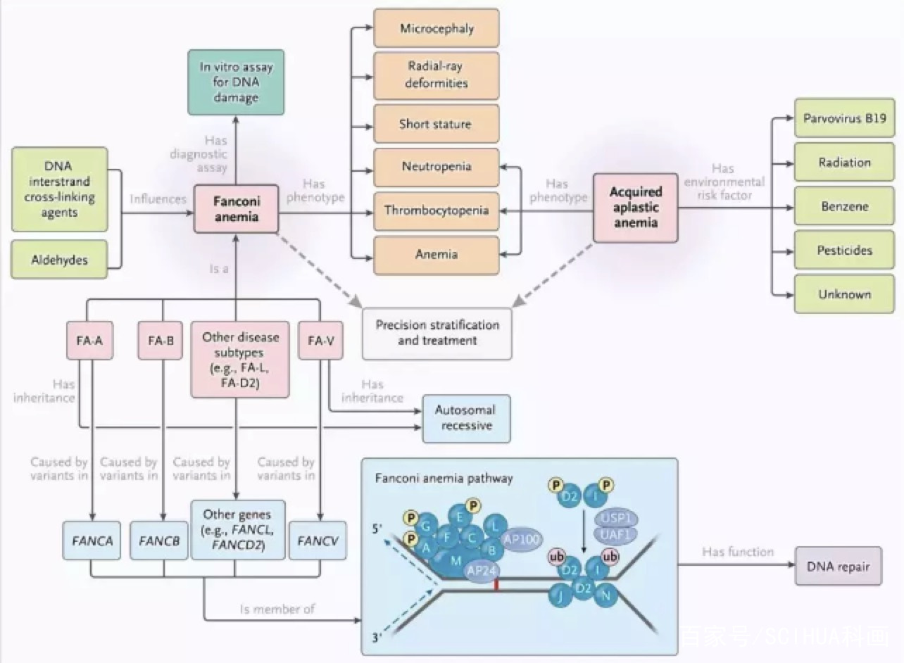 鍗氬＋閮藉湪鐢ㄧ殑绉戠爺sci缁樺浘鏁欑▼,sci缁樺浘鏍煎紡瑕佹眰
