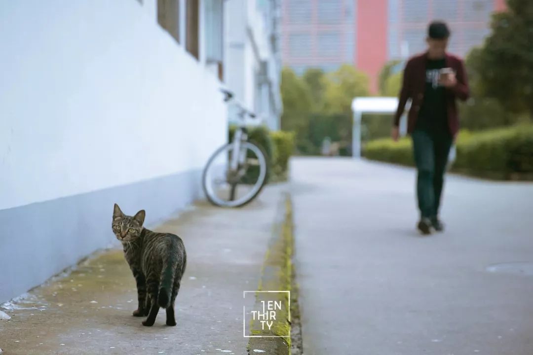 武汉外号,武汉最牛逼的大学