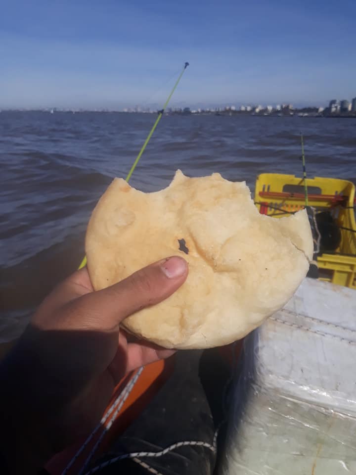 这才是最真实的国外钓鱼人,别崇洋媚外了,原来我们都被骗了