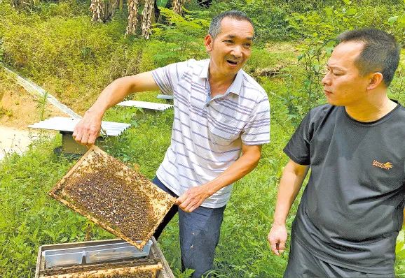 脱贫攻坚及乡村振兴工作,决战决胜脱贫攻坚就业扶贫再发力