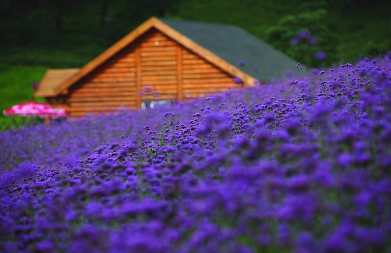 情侣必去的浪漫古镇,情侣必去浪漫旅行地