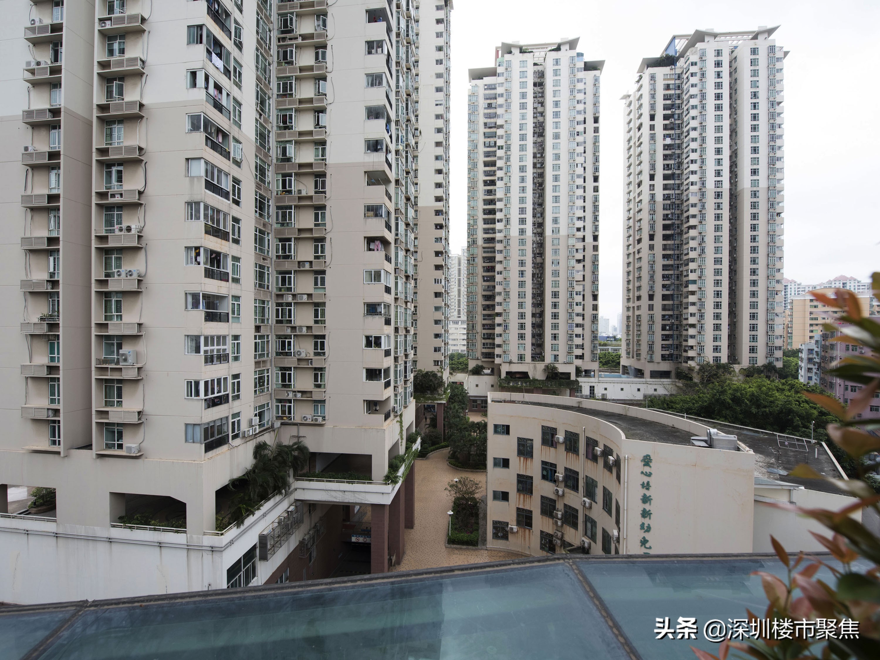 汤唯在深圳红岭中学哪一年的,汤唯的中学