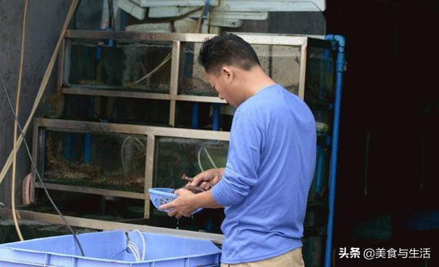 中国十大顶级大型海鲜市场在哪里,全国各大海鲜市场现状