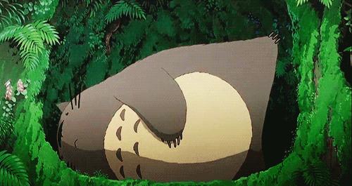 宫崎骏小龙猫的图片可以涂颜色,宫崎骏龙猫可爱视频