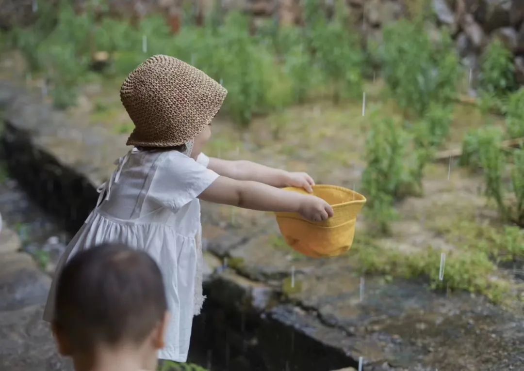 招募|穿过四季跑进福建，这一次跟着村跑去邂逅永春红