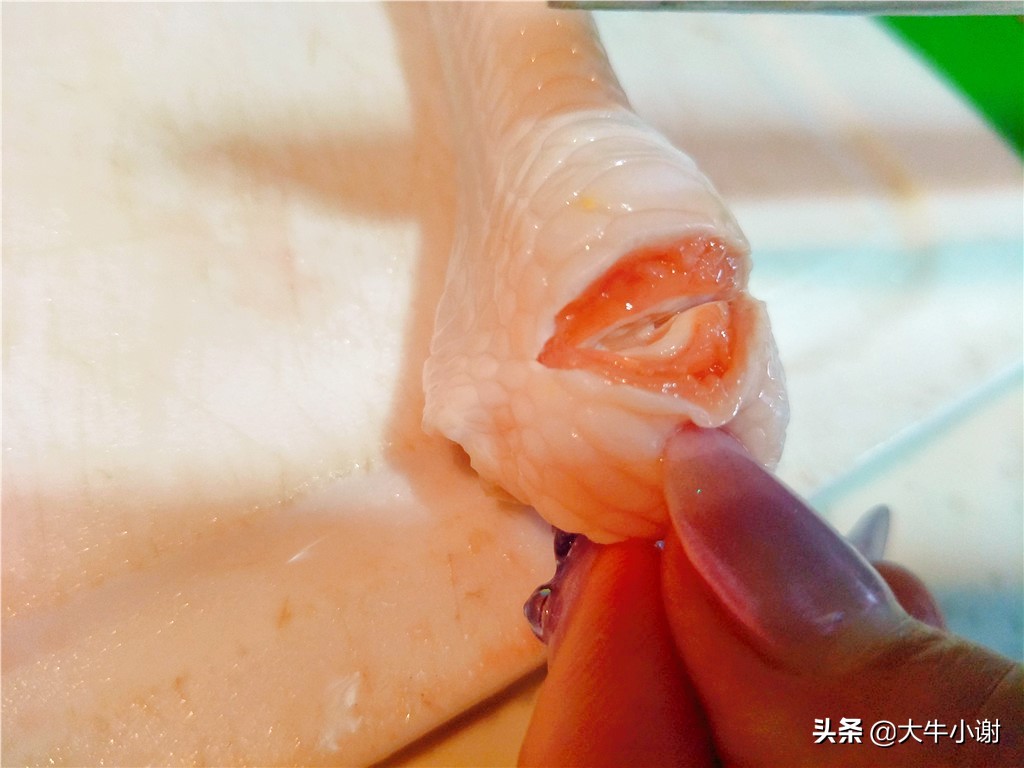 泡椒凤爪柠檬味的,柠檬凤爪刚入口的时候有点酸