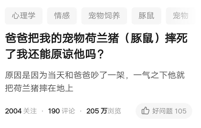 被摔死的荷兰猪,荷兰猪被母亲摔死