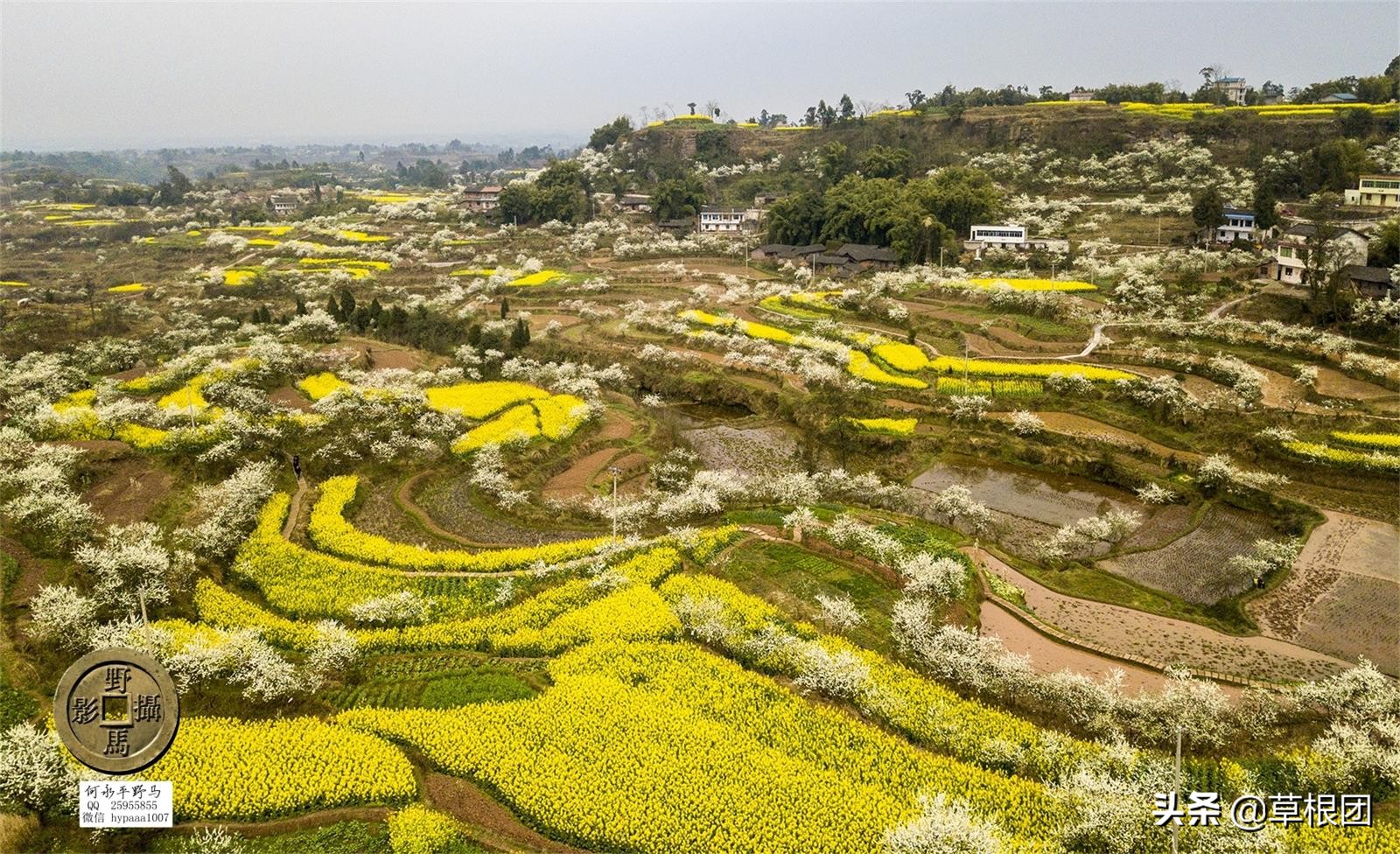 原广安县代市区有几个公社,广安消失的街道