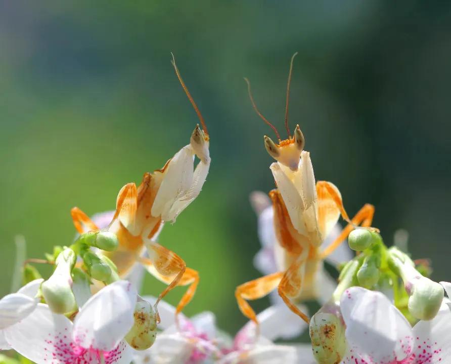 端午节省时省力的游玩攻略,端午去哪玩这份旅游攻略值得收藏