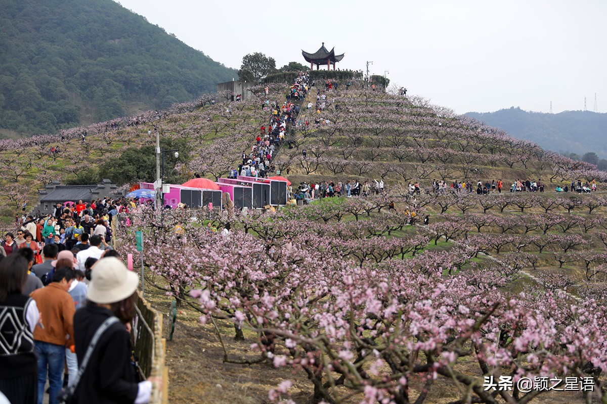 天下第一桃花源风景区,天下第一桃园图片
