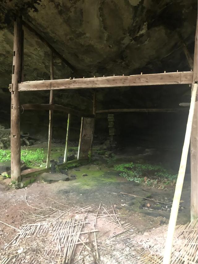 马家岩紫色花树,马家岩宜居