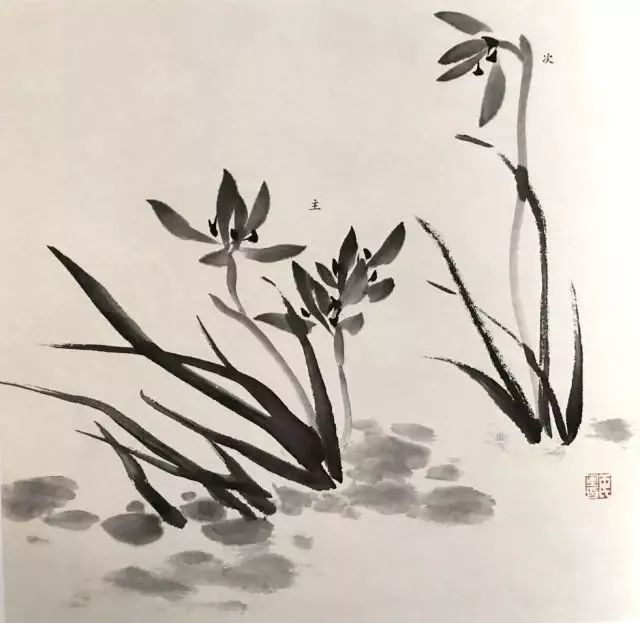 如何画兰花图片大全大图,怎么样画兰花才能好看