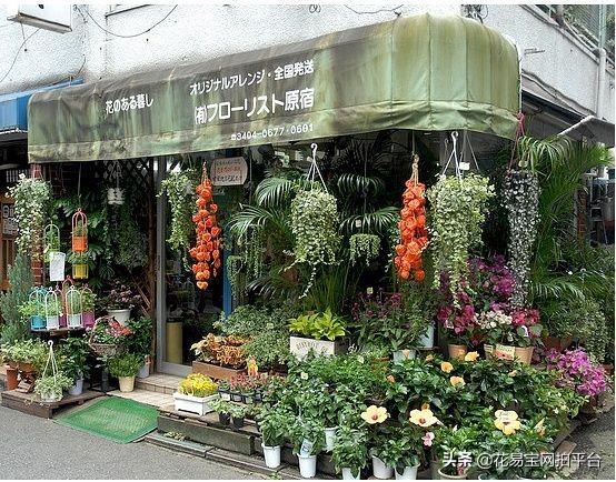 花店和开工作室哪个好,开间花店好还是园艺店好