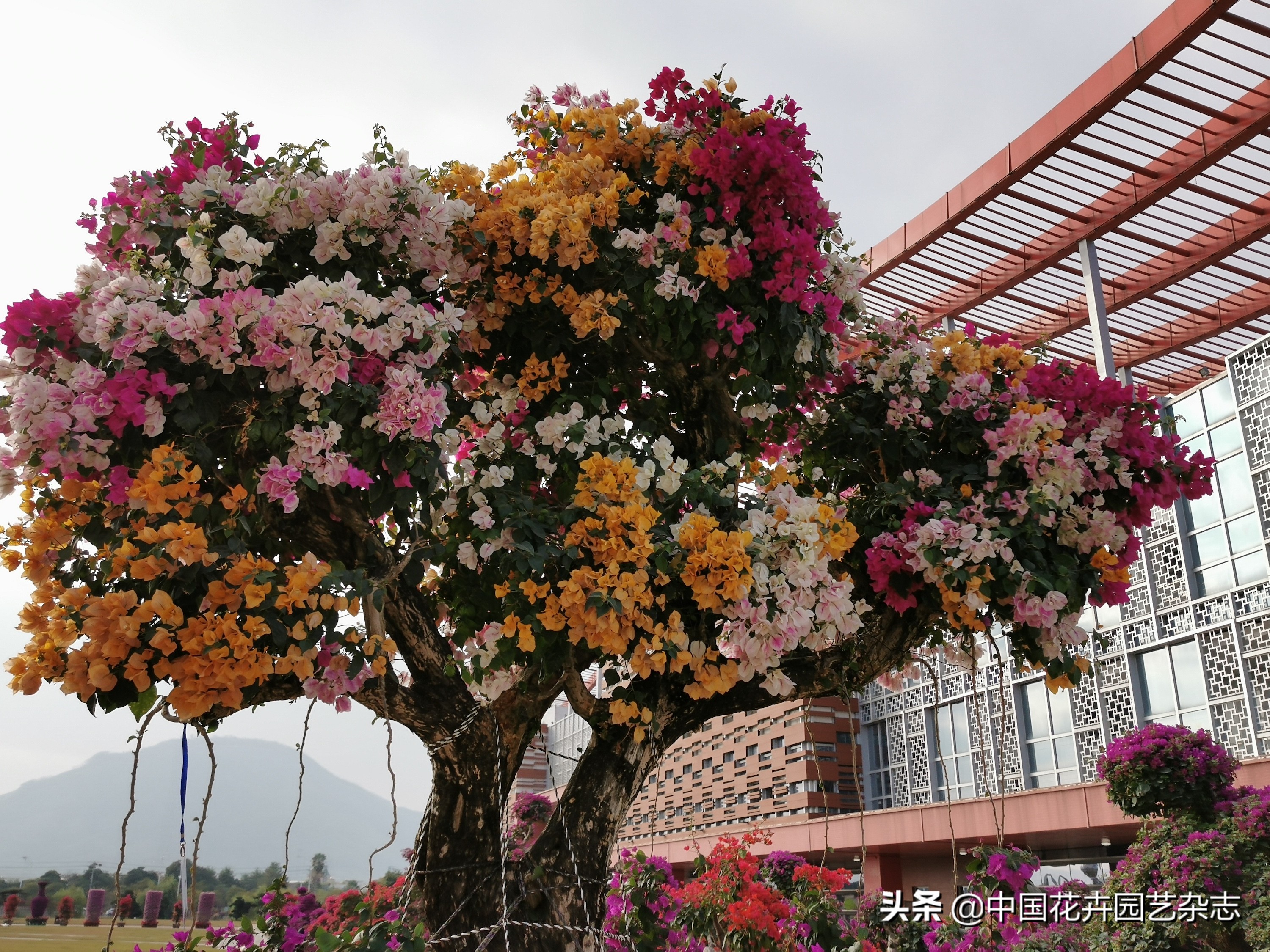 为产业发展提振信心注入新动能,为激发市场活力添动能