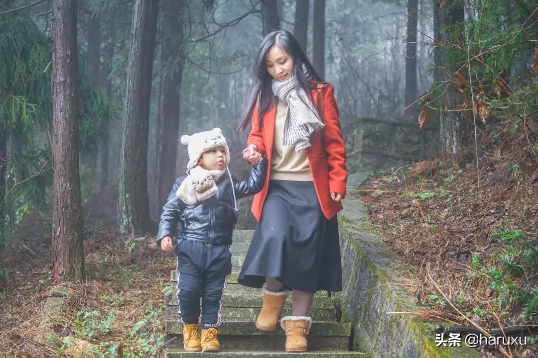 南方也能下雪吗,南方也能见到雪