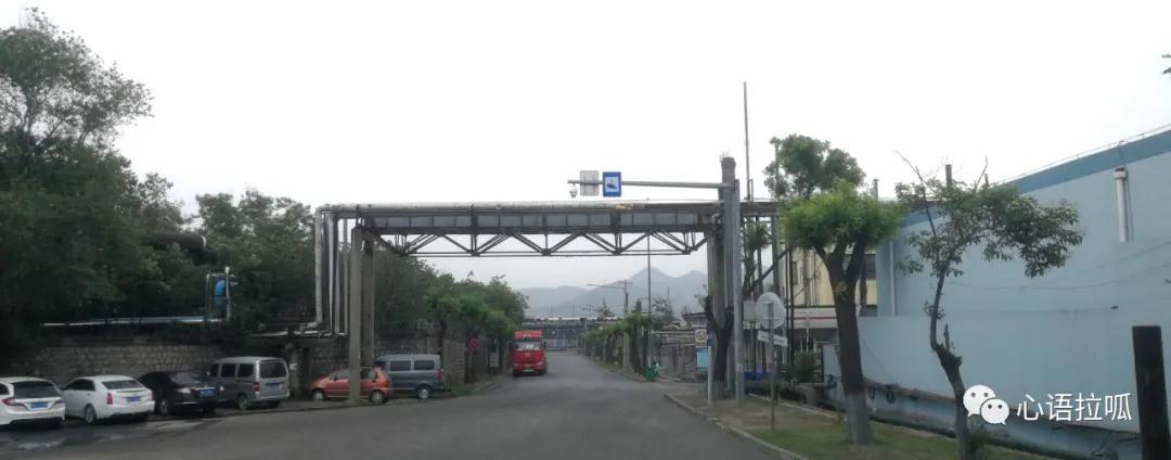 淄博曾经有合成氨和三十万