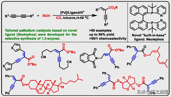 鍌寲蹇姤鏈熷垔,鍌寲鏉傚織灏侀潰