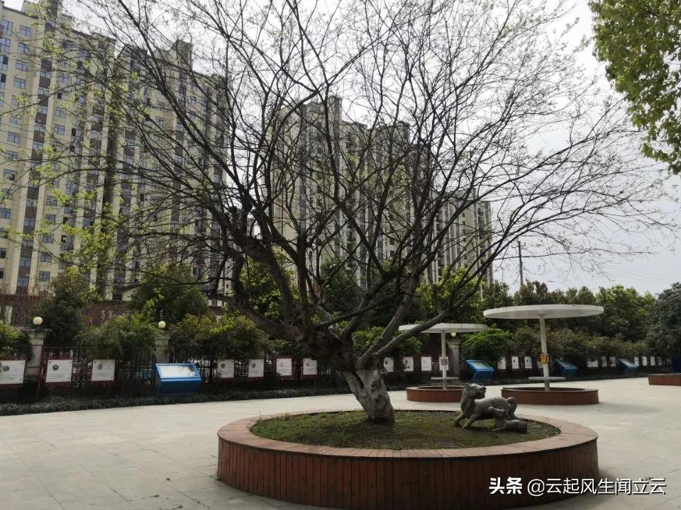 随州县城网红打卡地,随州市曾都区旅游景点