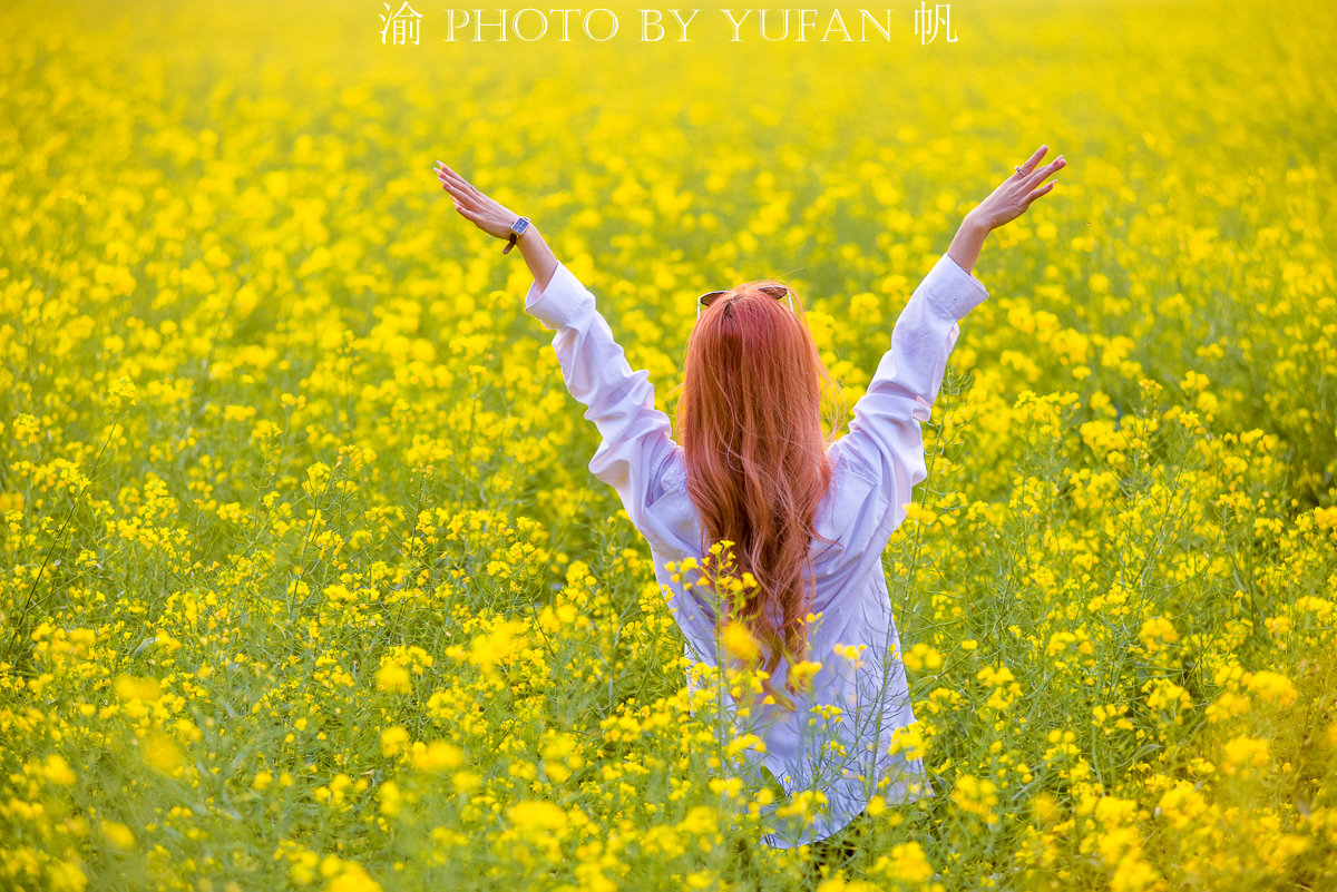 七彩云南旅游真实感受,什么是七彩云南