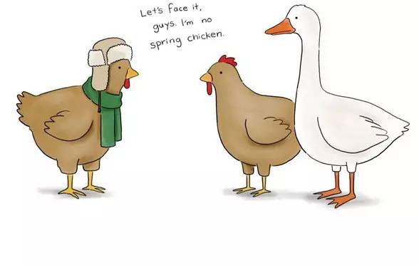 你见过的最奇葩的翻译,奇葩翻译大全