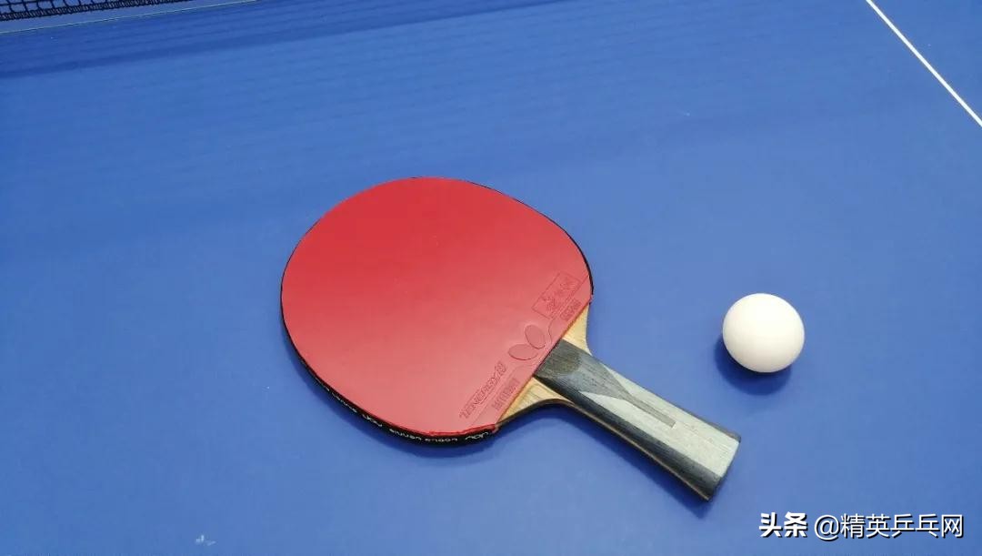 蝴蝶t19套胶对比d09c,蝴蝶t19和t05谁适合反手