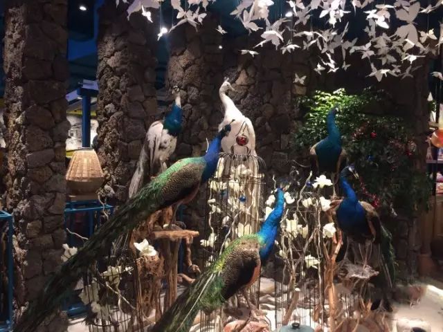 上海美食一条街堂食,上海浦东基础美食