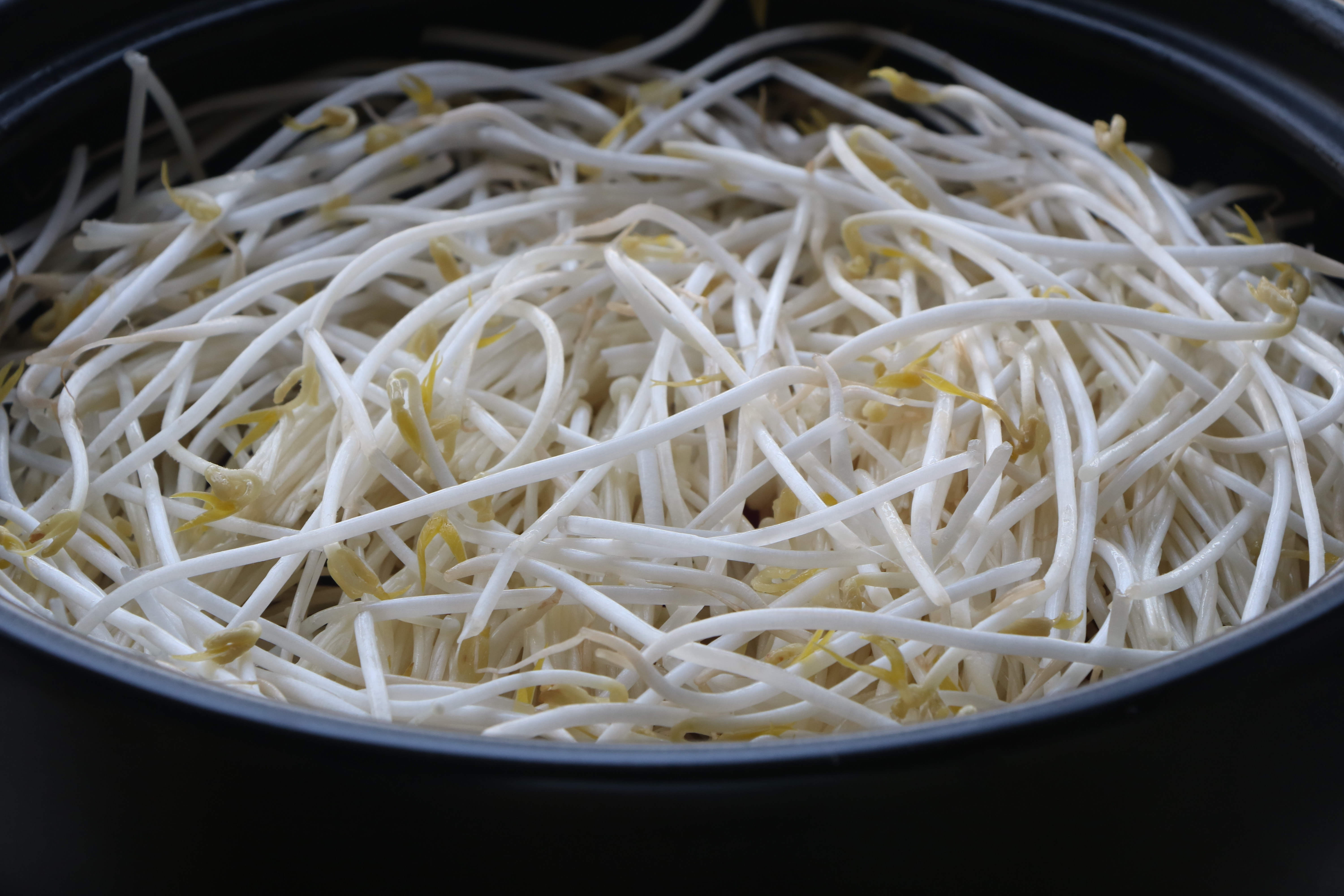 草鱼的家常焖法,我家草鱼从不红烧