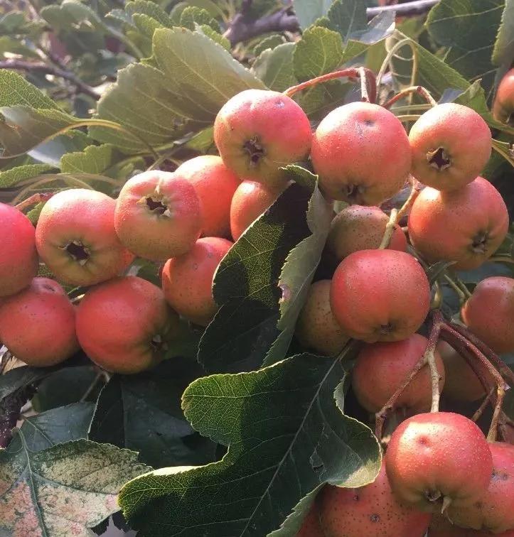 美文心阅免费阅读,美文心阅