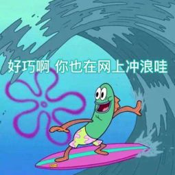 隐适美隐形牙套价格,隐适美比普通钢牙套贵多少