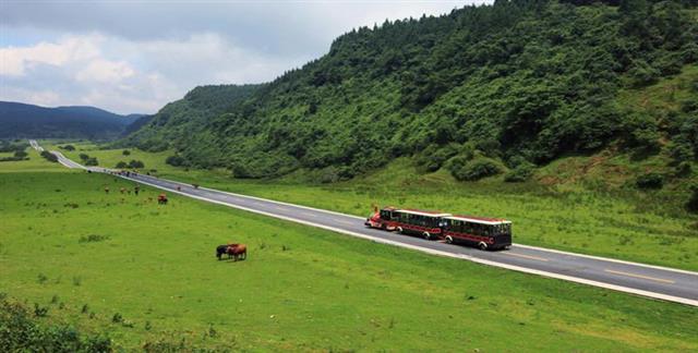 重庆避暑的好地方推荐一下,重庆本地人避暑去哪玩