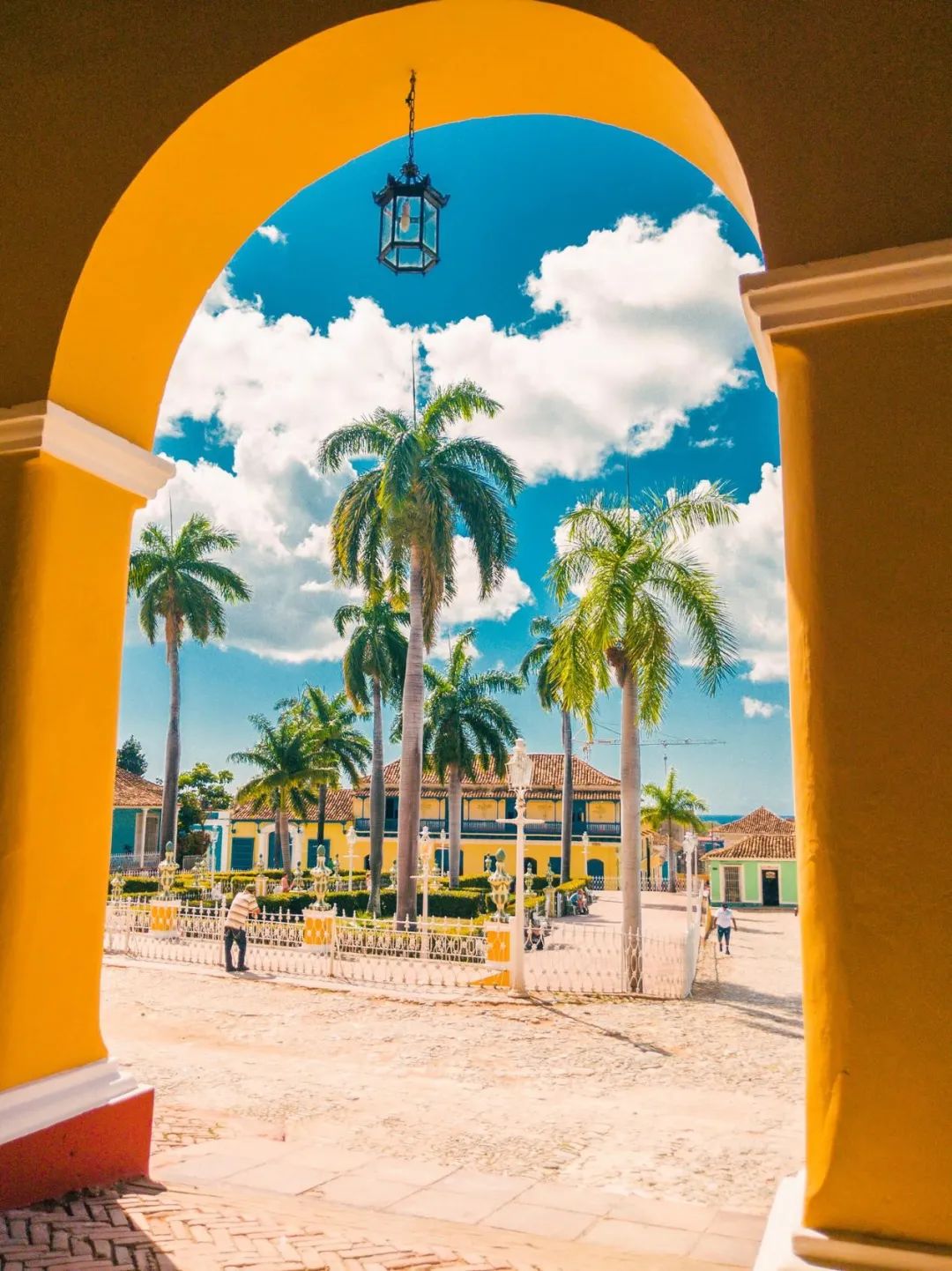 世界还有没确诊的国家,全球仅剩的4个零确诊的国家