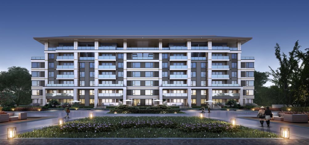 硕丰大成最新视频,硕丰大成一期