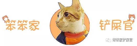 猫咪洗澡的正确方法和注意事项,猫咪洗澡后精神不振