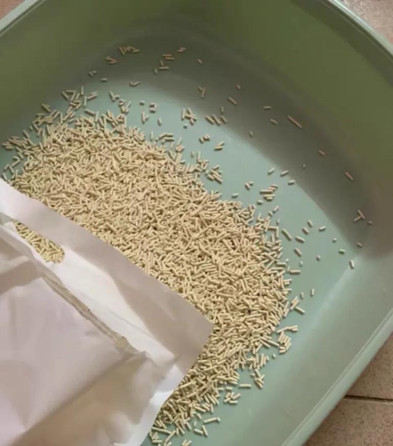 养猫新手入门猫砂,猫砂评价无粉尘