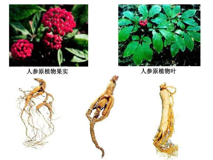 天然护肤品功效,天然护肤品牌该如何突破