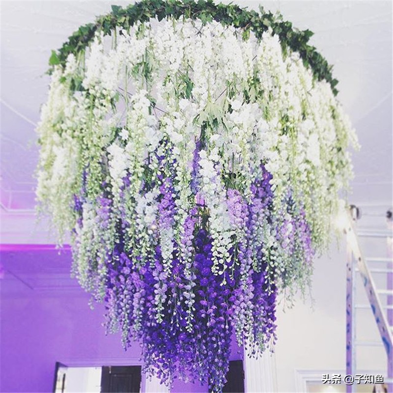 特立独行却不反感的星座女,天生傲骨不受别人控制的三大星座