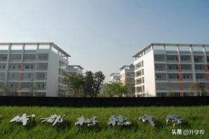 2019成都初升高，谁与争锋！“四七九”三校七区高考大数据一览。