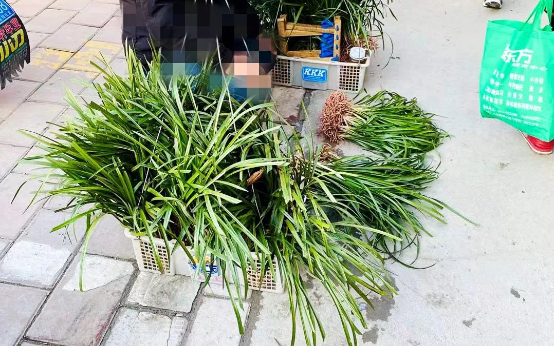 菜市小趣（社会扫描）