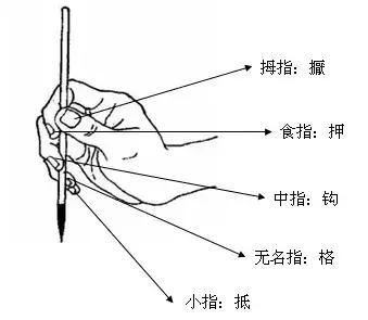 正确的执笔方式,如何执笔是准确的