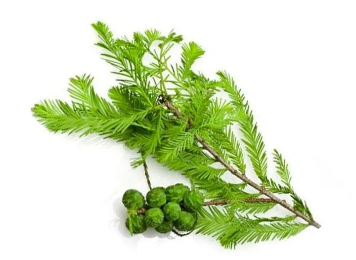 专业祛红血丝修复敏感肌,修复红血丝脸部精油