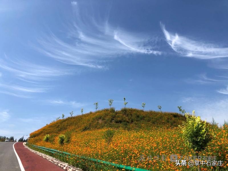 天路赏红叶自驾游古村落暨汽车特色农产品跨界行销活动顺利举行