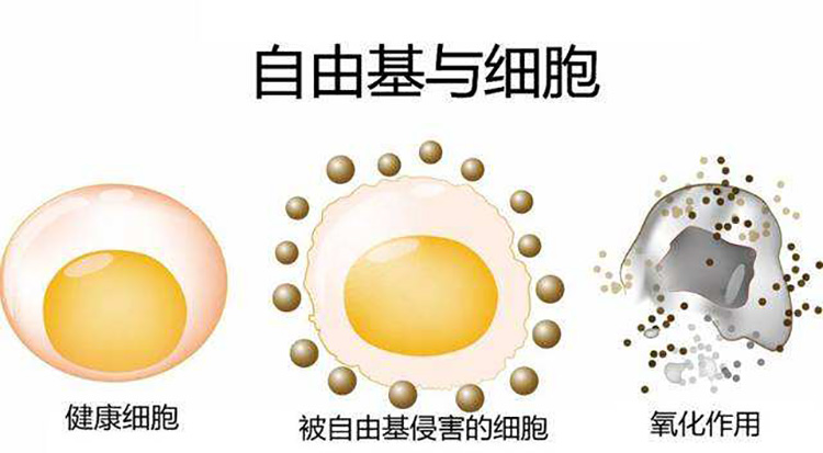 干皮想要美白有妙招，做好以下几点就够了，助你恢复白嫩肌肤