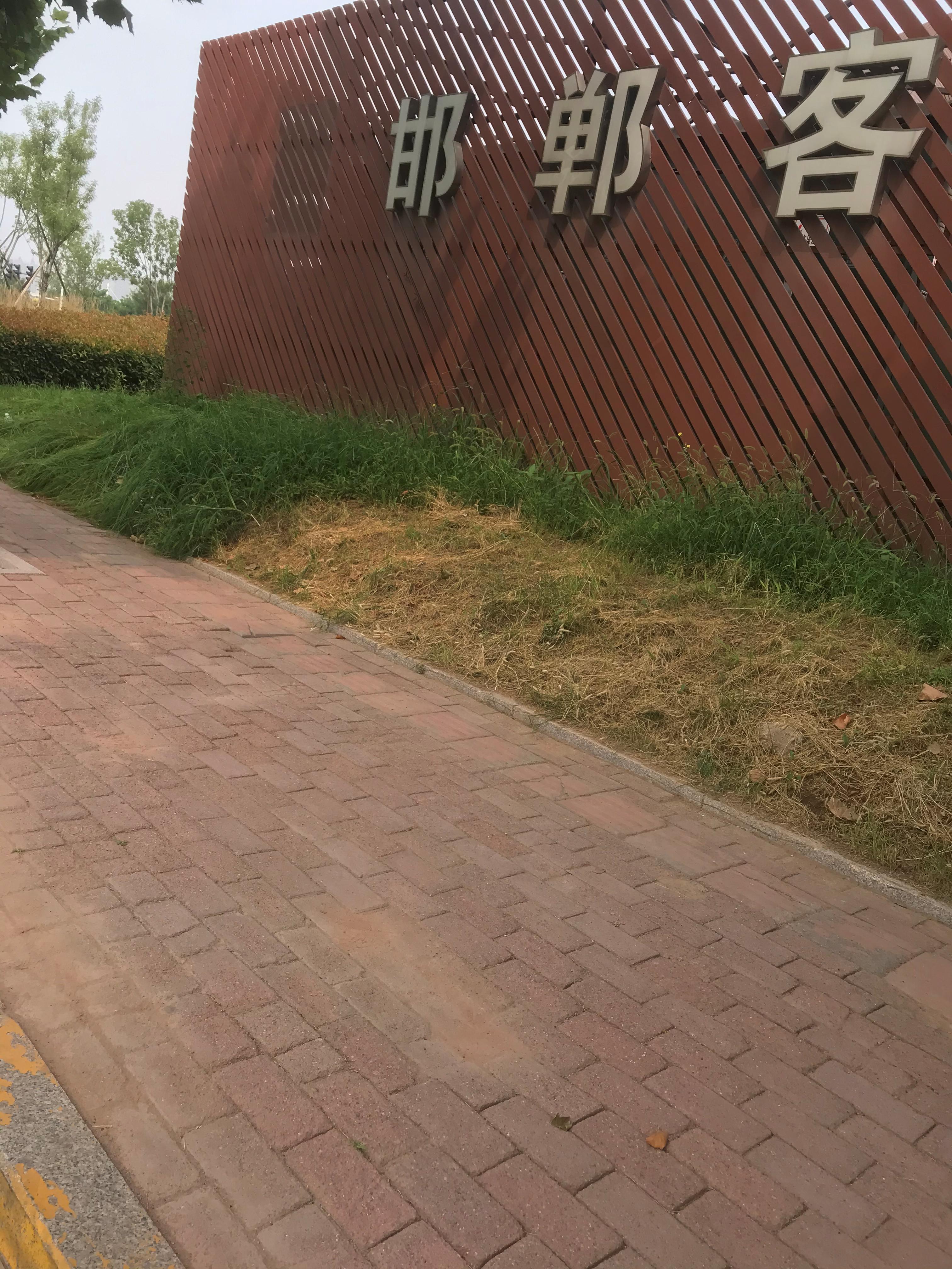 外地人对邯郸的看法,邯郸生活真实感受