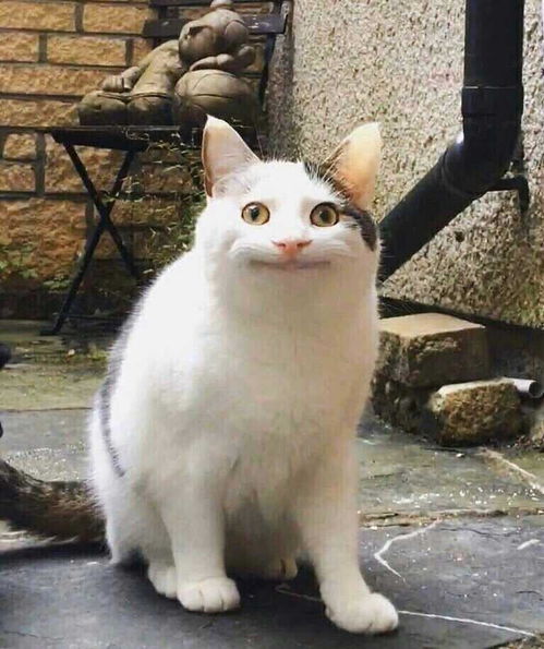 鍗庝负h30,鍗庝负娓呮槗h30