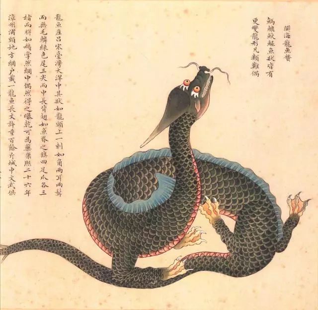 清代海错图有用吗,故宫海错图展