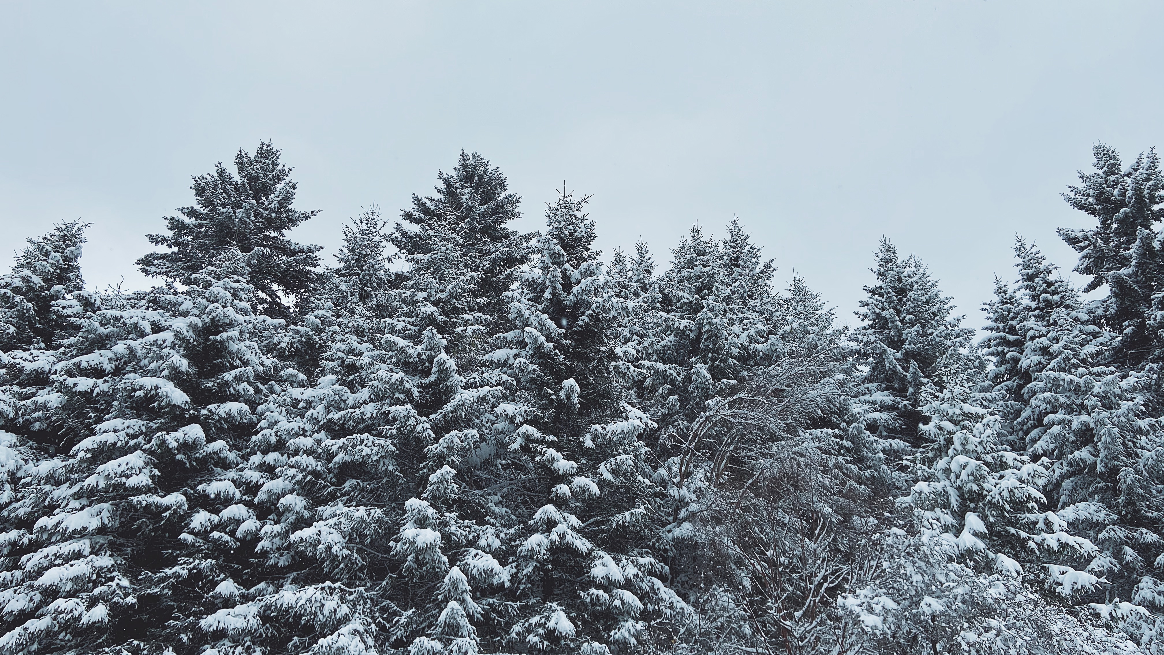 始祖鸟顶级羽绒服macai极寒测评,始祖鸟macai羽绒服拆解