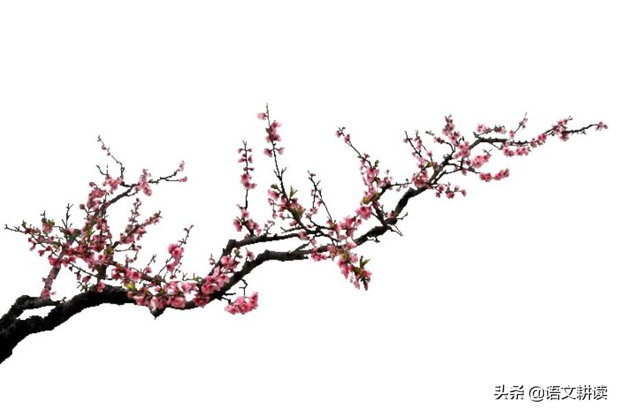 七下语文苏科版必背古诗,苏教版初中语文必背古诗词