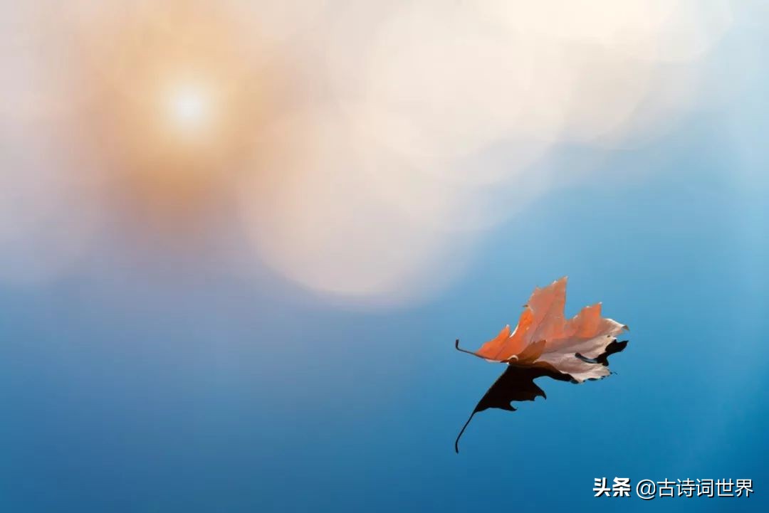 百年中国经典诗词大全,带国的唯美诗词