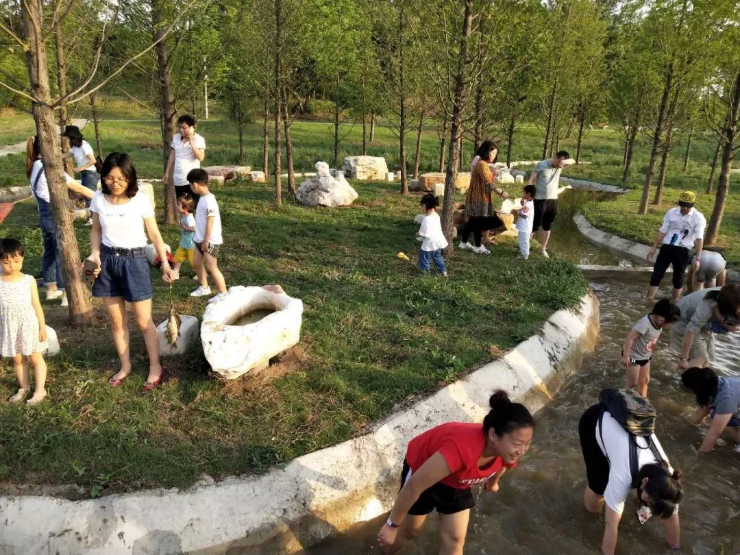 紫薇园宿州露营音乐节,中华紫薇园露营